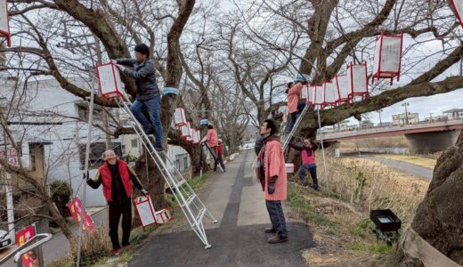 独楽吟ぼんぼりを設置しました