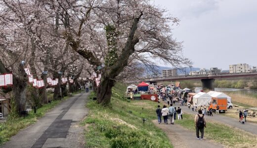 一気に満開っ！